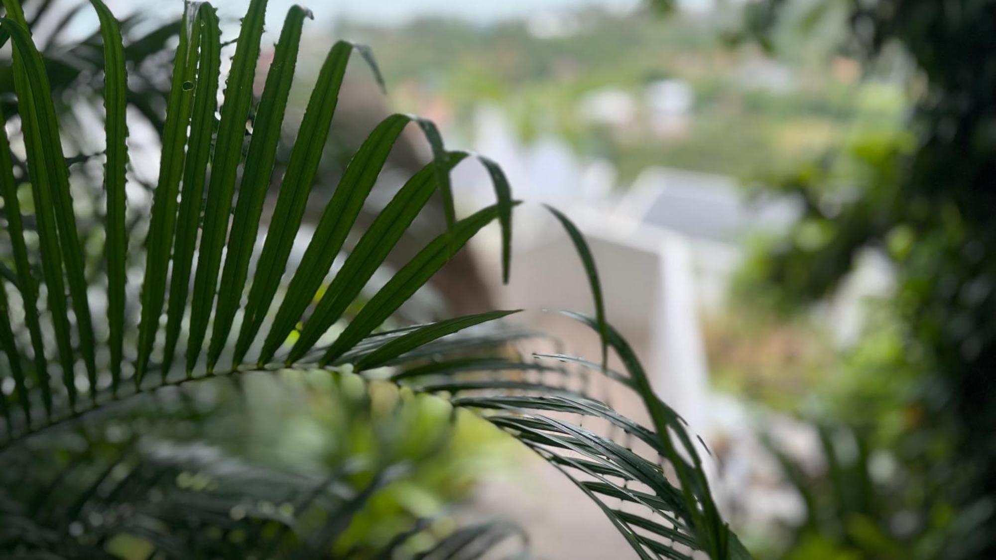 Anzhu Seamate Samui Villa