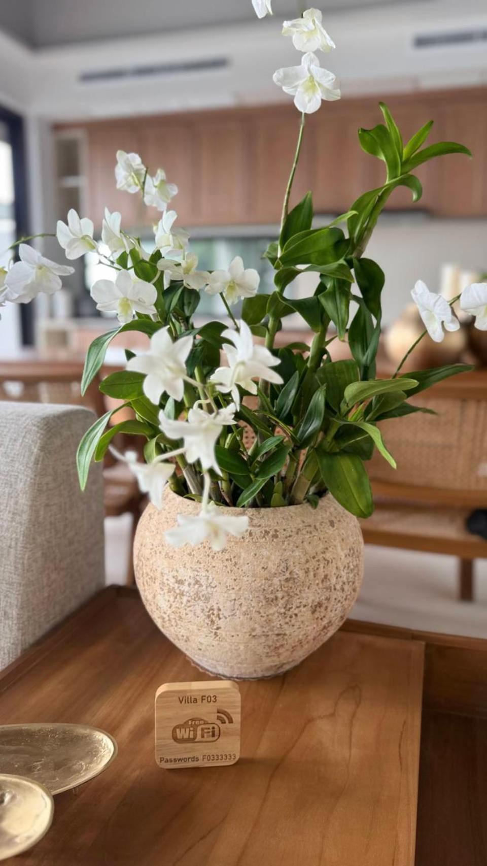 Anzhu Seamate Samui Villa *